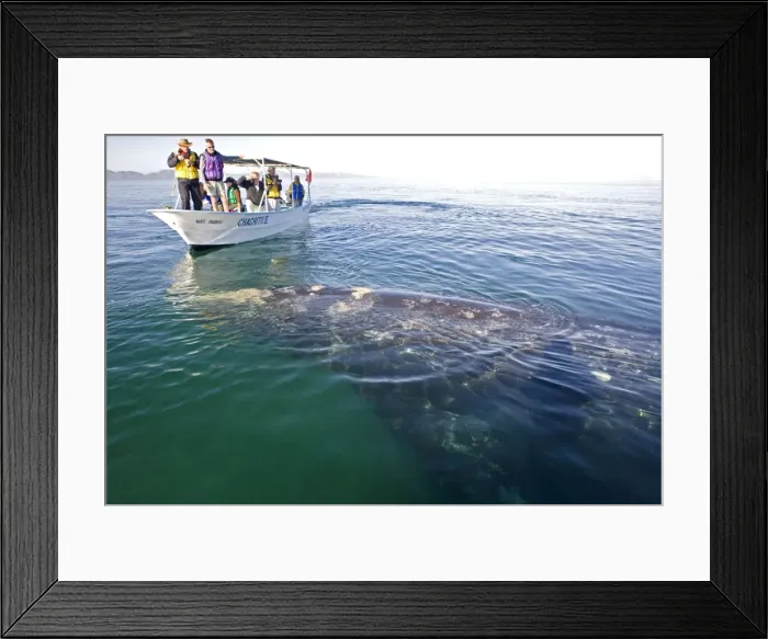 Framed Print : Picture No. 10947674 Framed Print : Picture No. 10947674