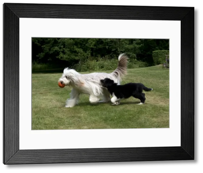 Framed Print : Picture No. 10922560 Framed Print : Picture No. 10922560