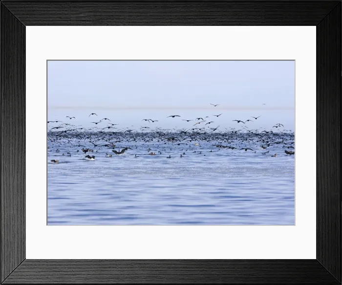 Framed Print : Picture No. 10947694 Framed Print : Picture No. 10947694