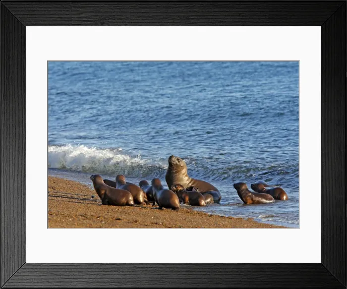 Framed Print : Picture No. 10947613 Framed Print : Picture No. 10947613