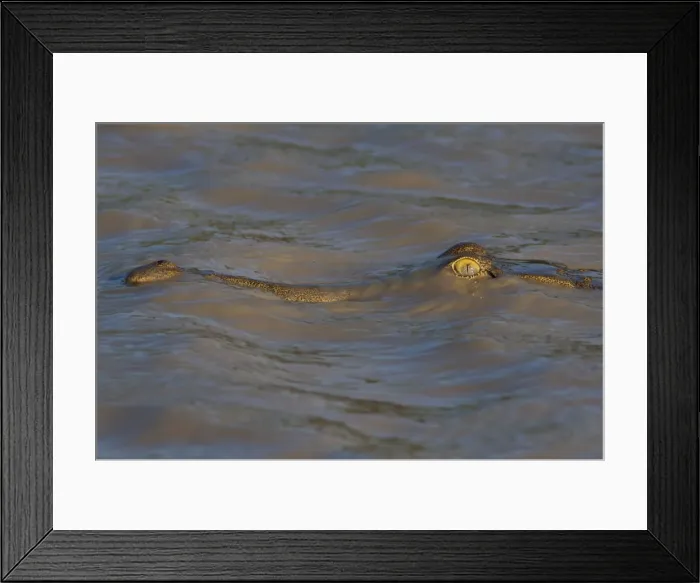 Framed Print : Picture No. 10947343 Framed Print : Picture No. 10947343