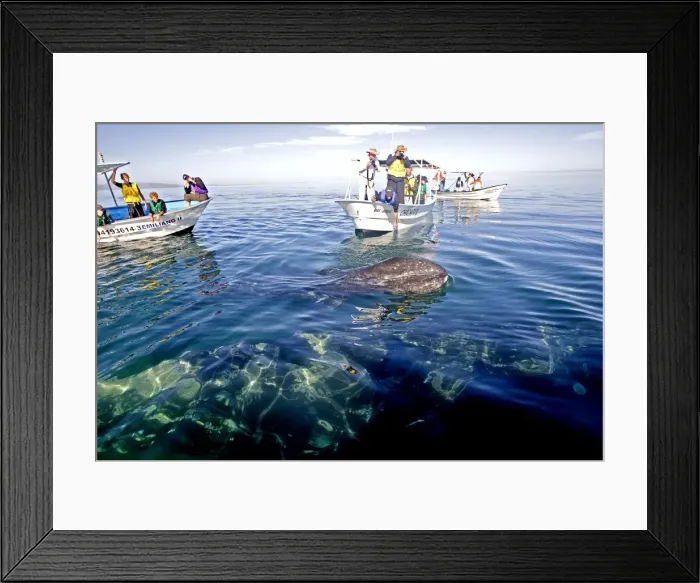 Framed Print : Picture No. 10947676