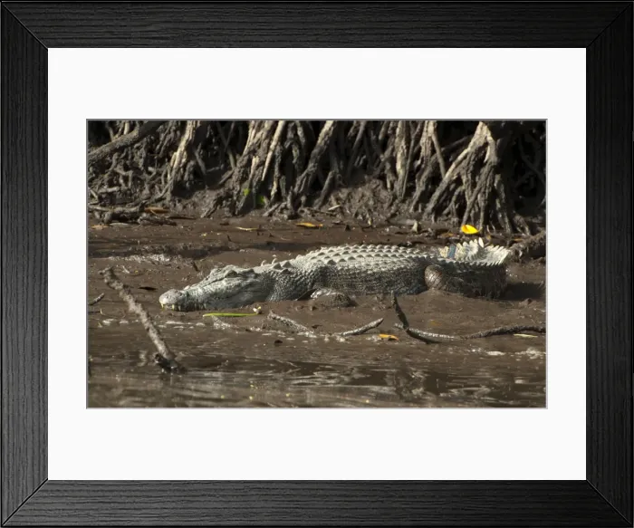 Framed Print : Picture No. 10947336 Framed Print : Picture No. 10947336