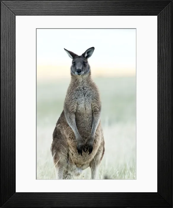 Framed Print : Picture No. 10947467 Framed Print : Picture No. 10947467