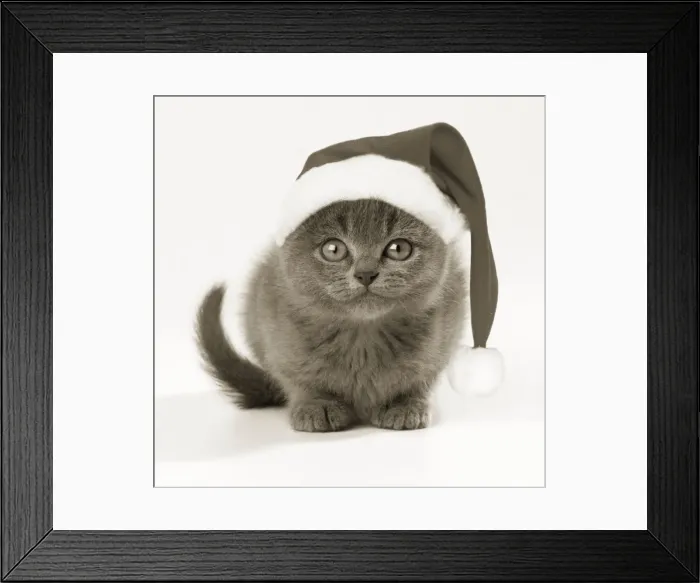Framed Print : Picture No. 10947873 Framed Print : Picture No. 10947873