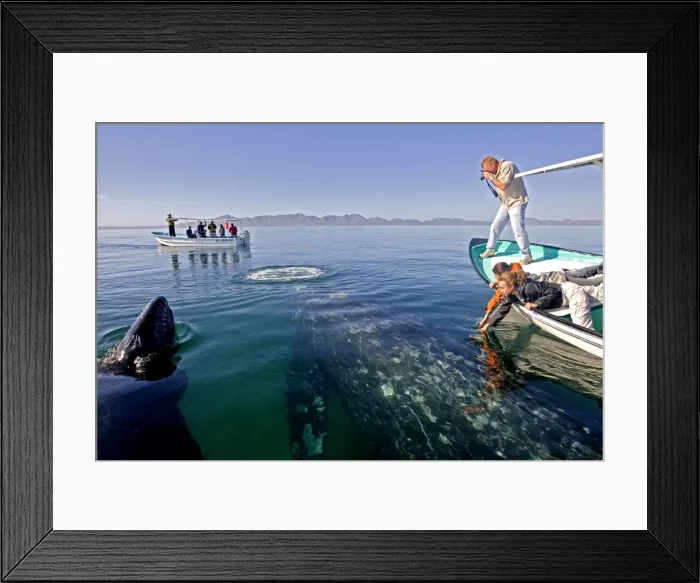 Framed Print : Picture No. 10947677 Framed Print : Picture No. 10947677