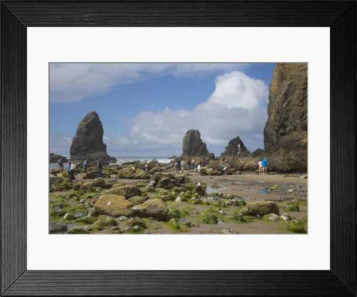 Framed Print : Picture No. 10737461 Framed Print : Picture No. 10737461