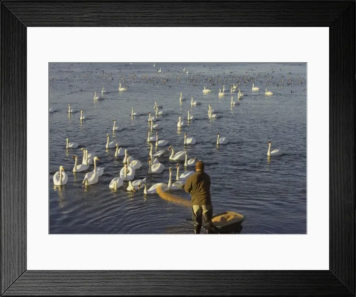 Framed Print : Picture No. 10738630 Framed Print : Picture No. 10738630