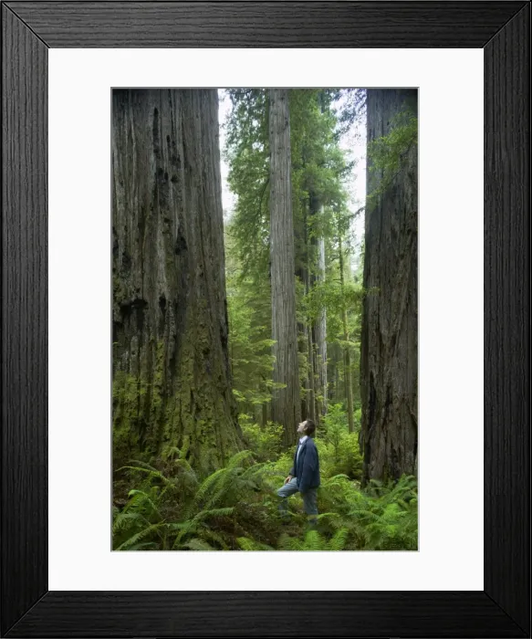 Framed Print : Picture No. 10737484 Framed Print : Picture No. 10737484