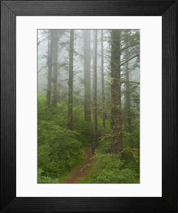 Framed Print : Picture No. 10737632 Framed Print : Picture No. 10737632