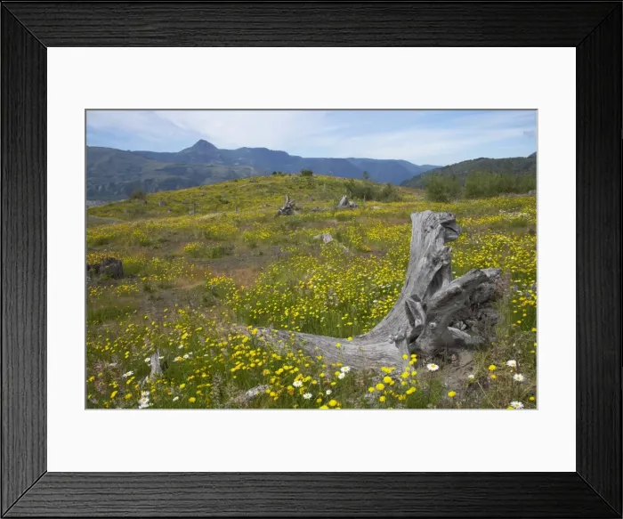 Framed Print : Picture No. 10737547 Framed Print : Picture No. 10737547