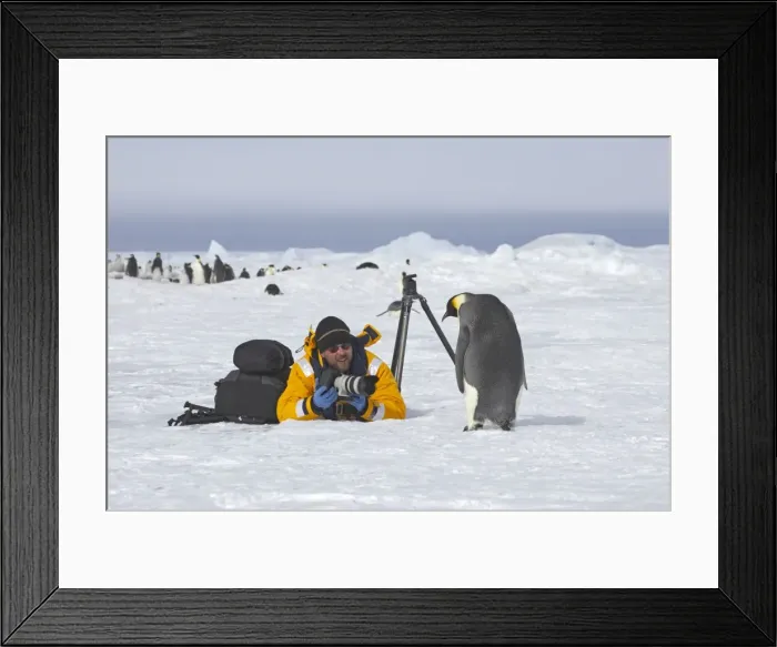 Framed Print : Picture No. 10738453 Framed Print : Picture No. 10738453