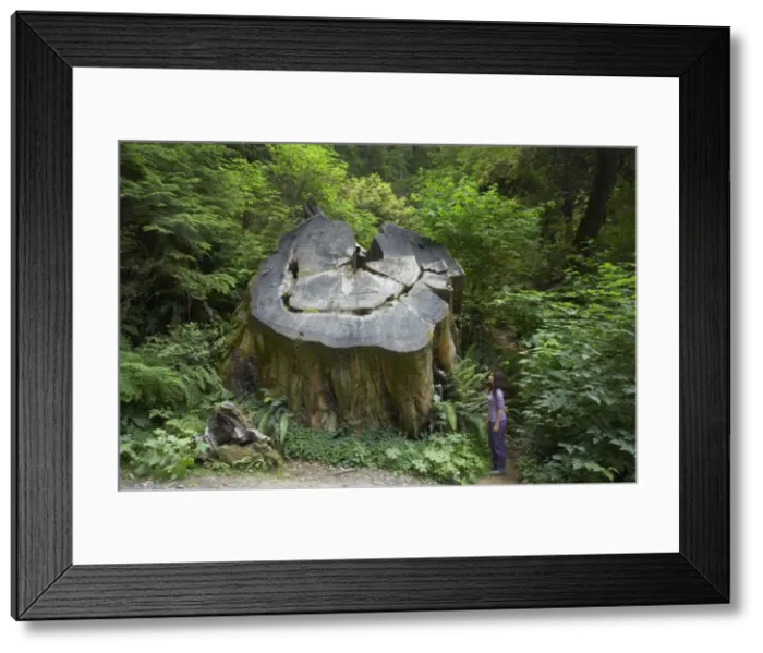 Framed Print : Picture No. 10737494