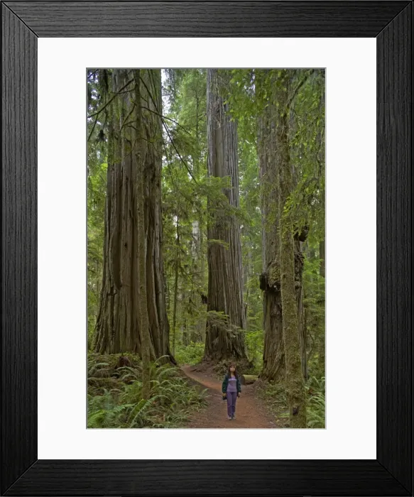 Framed Print : Picture No. 10737489 Framed Print : Picture No. 10737489