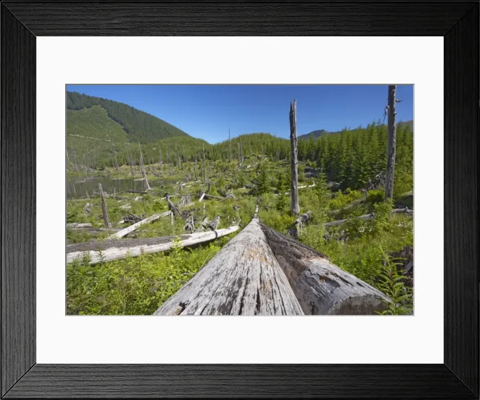 Framed Print : Picture No. 10737536 Framed Print : Picture No. 10737536
