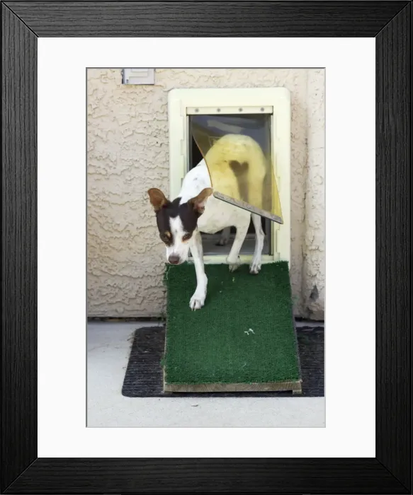 Framed Print : Picture No. 10738775 Framed Print : Picture No. 10738775