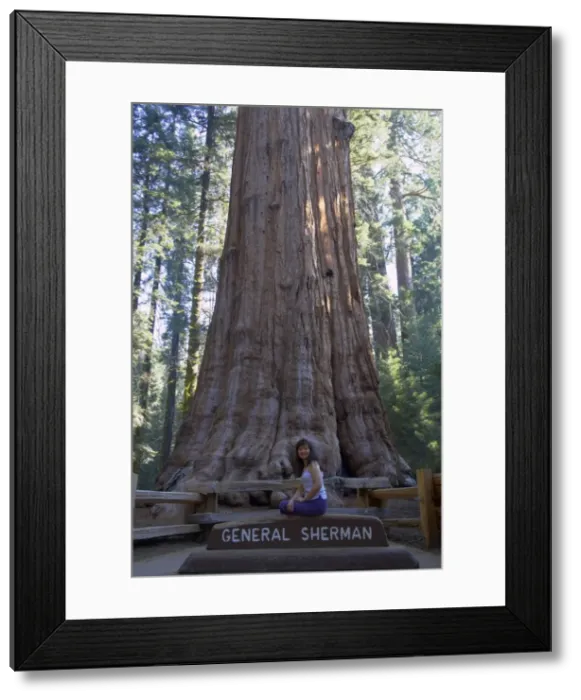 Framed Print : Picture No. 10737601 Framed Print : Picture No. 10737601