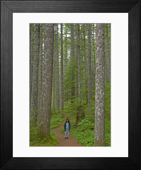 Framed Print : Picture No. 10737517 Framed Print : Picture No. 10737517
