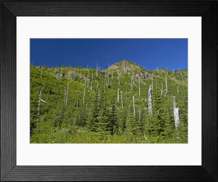 Framed Print : Picture No. 10737300