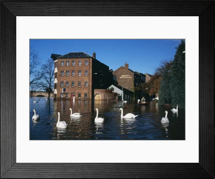 Framed Print : Picture No. 10736999 Framed Print : Picture No. 10736999