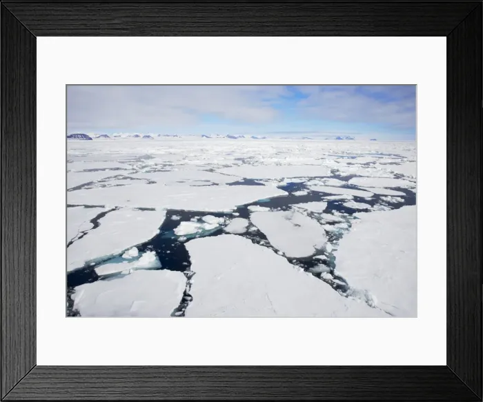 Framed Print : Picture No. 10738766 Framed Print : Picture No. 10738766