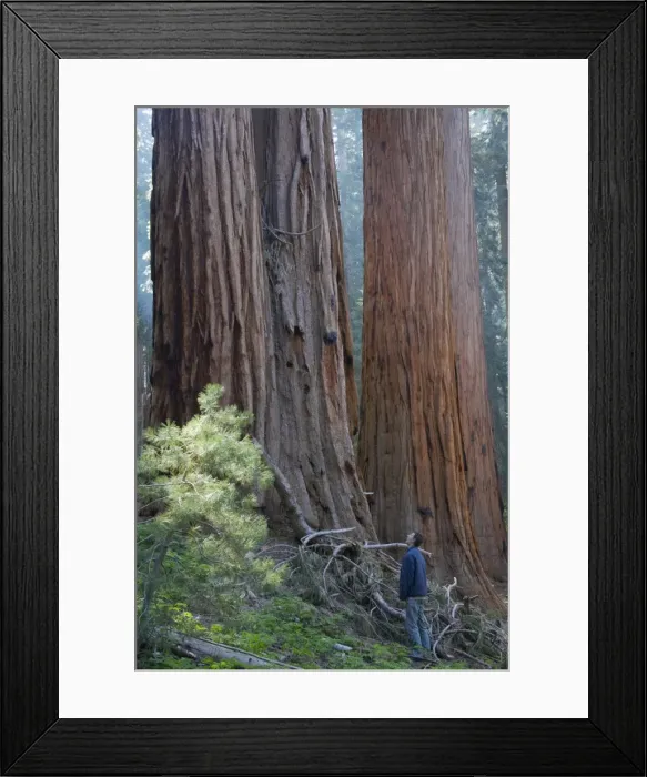 Framed Print : Picture No. 10737602 Framed Print : Picture No. 10737602