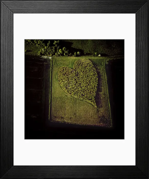 Framed Print : Picture No. 10741232 Framed Print : Picture No. 10741232