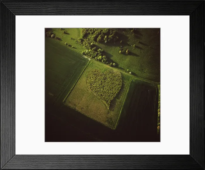 Framed Print : Picture No. 10741299 Framed Print : Picture No. 10741299