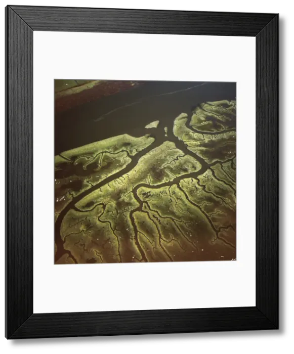 Framed Print : Picture No. 10741199 Framed Print : Picture No. 10741199