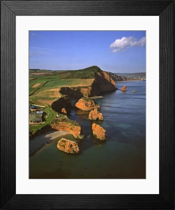 Framed Print : Picture No. 10741269