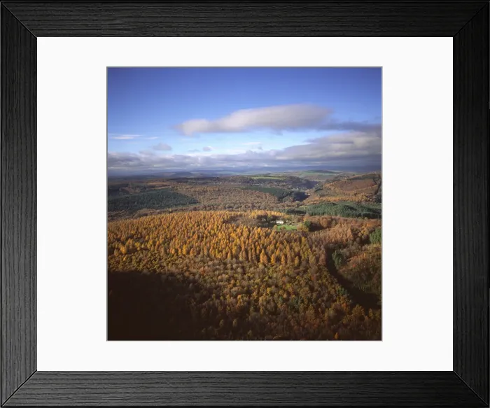 Framed Print : Picture No. 10741275