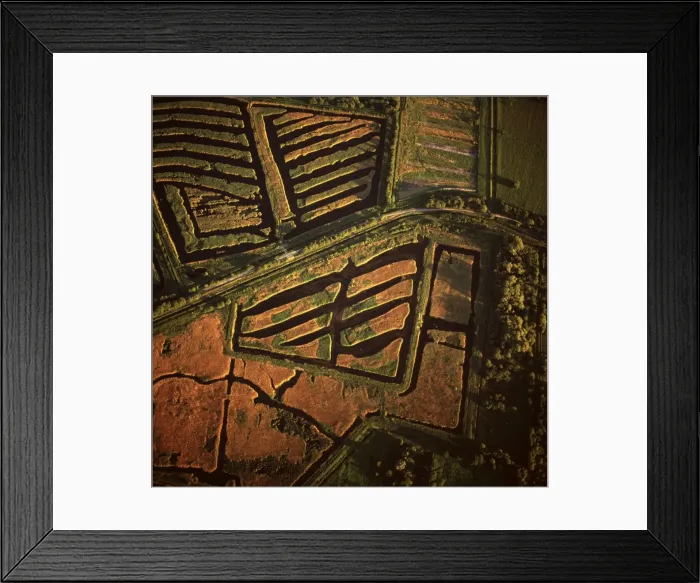 Framed Print : Picture No. 10741287 Framed Print : Picture No. 10741287