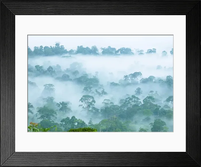 Framed Print : Picture No. 10750457 Framed Print : Picture No. 10750457