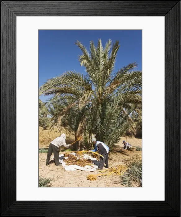 Framed Print : Picture No. 10761393 Framed Print : Picture No. 10761393