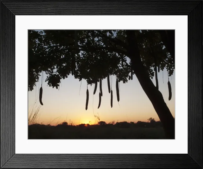 Framed Print : Picture No. 10761358 Framed Print : Picture No. 10761358