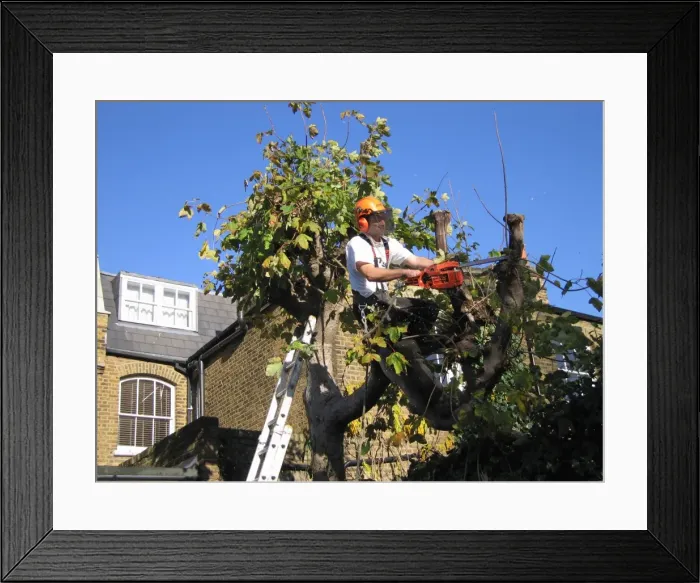 Framed Print : Picture No. 10760237 Framed Print : Picture No. 10760237