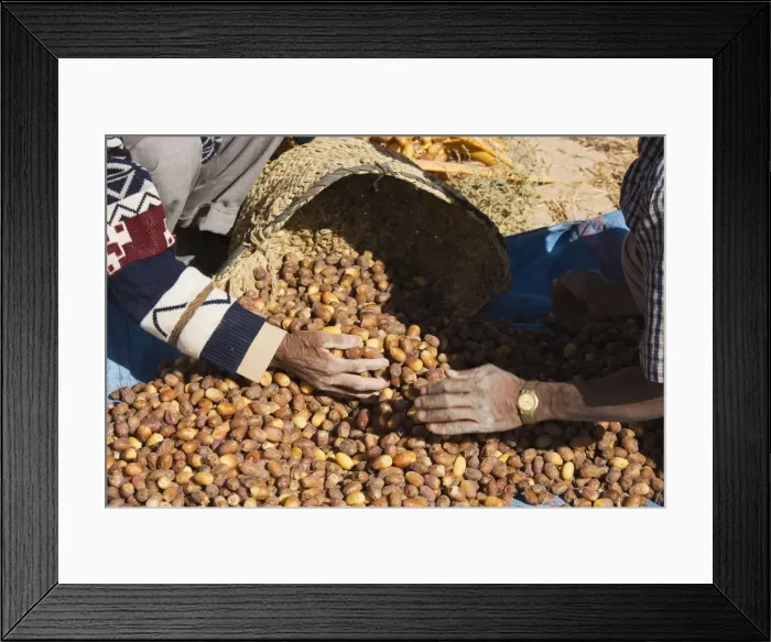 Framed Print : Picture No. 10761392 Framed Print : Picture No. 10761392