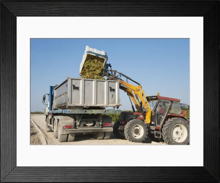 Framed Print : Picture No. 10761682 Framed Print : Picture No. 10761682