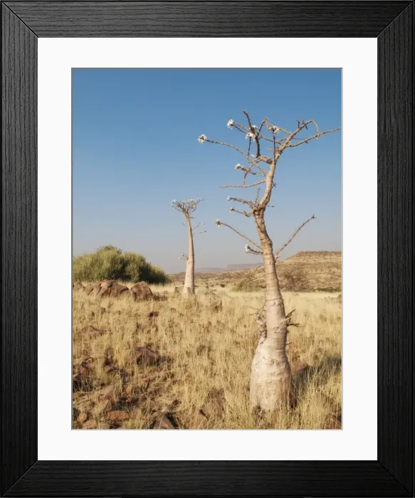 Framed Print : Picture No. 10761344 Framed Print : Picture No. 10761344