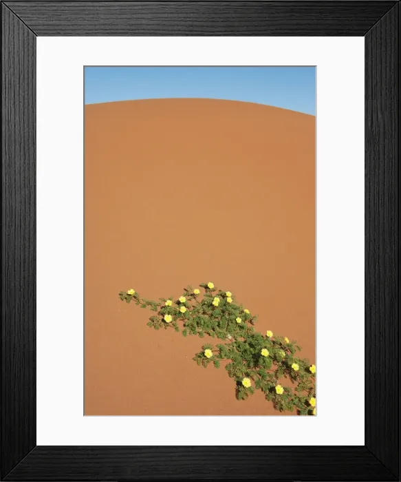 Framed Print : Picture No. 10761353 Framed Print : Picture No. 10761353