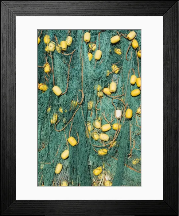 Framed Print : Picture No. 10761533 Framed Print : Picture No. 10761533