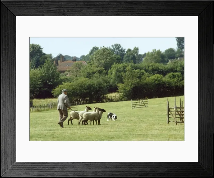 Framed Print : Picture No. 10760088