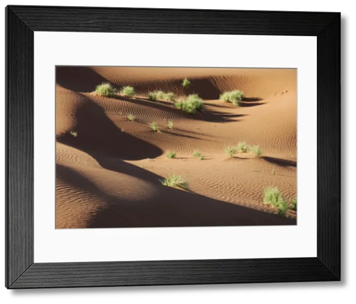 Framed Print : Picture No. 10761355 Framed Print : Picture No. 10761355
