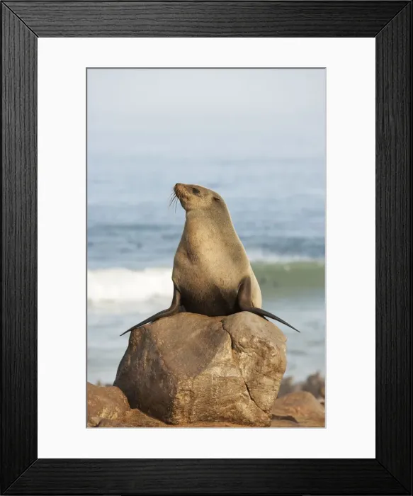 Framed Print : Picture No. 10761371 Framed Print : Picture No. 10761371