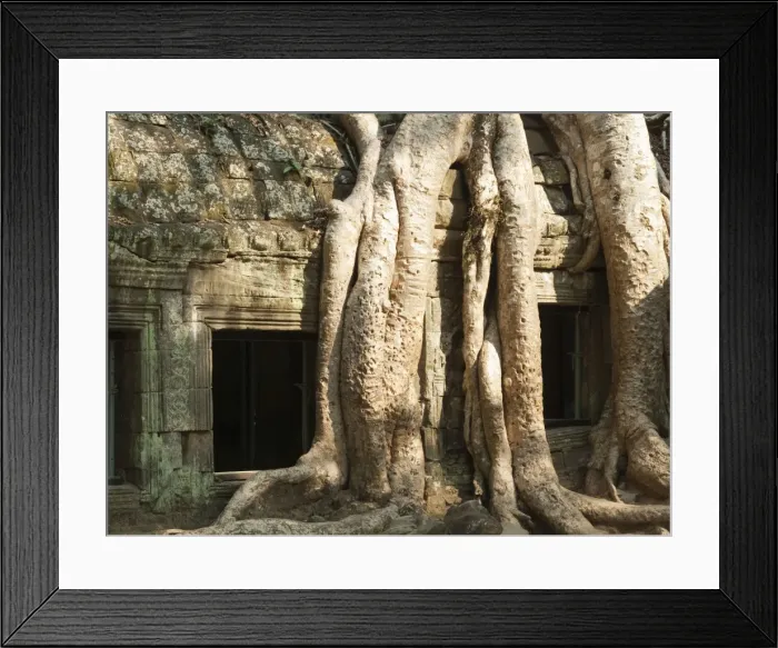 Framed Print : Picture No. 10761609 Framed Print : Picture No. 10761609