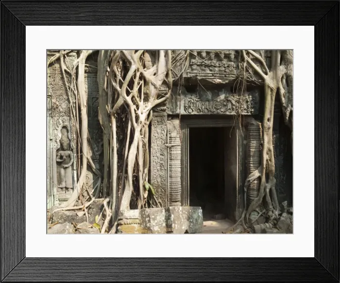 Framed Print : Picture No. 10761606 Framed Print : Picture No. 10761606