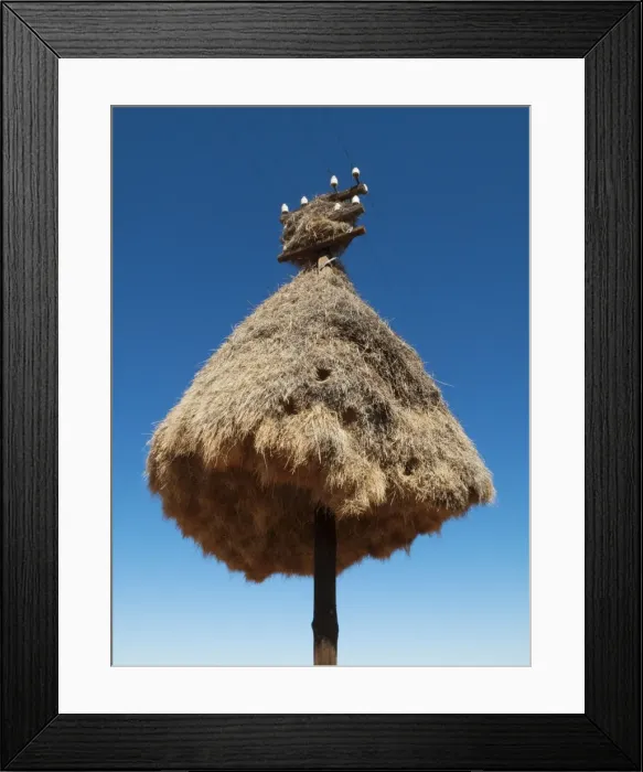 Framed Print : Picture No. 10761377 Framed Print : Picture No. 10761377