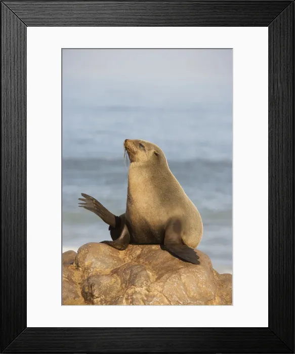 Framed Print : Picture No. 10761372 Framed Print : Picture No. 10761372