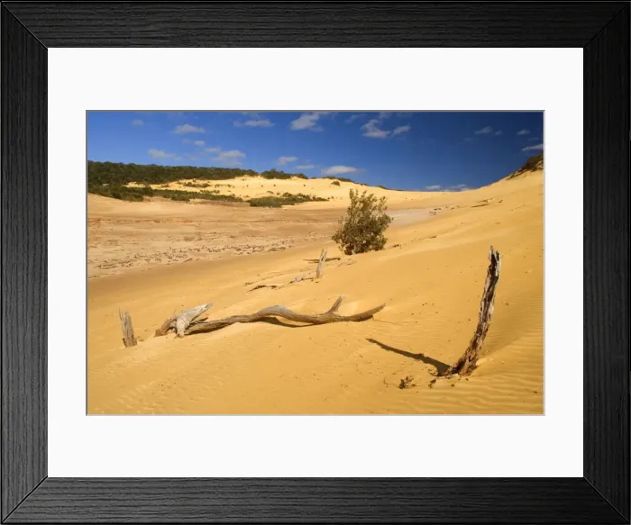 Framed Print : Picture No. 10758724