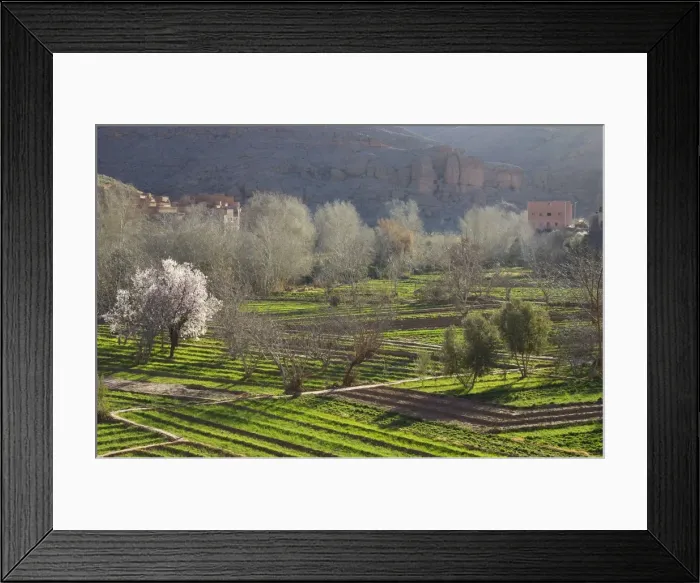 Framed Print : Picture No. 10761529